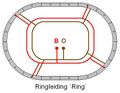 Ringleiding-ring.jpg