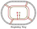 Ringleiding-ring.jpg